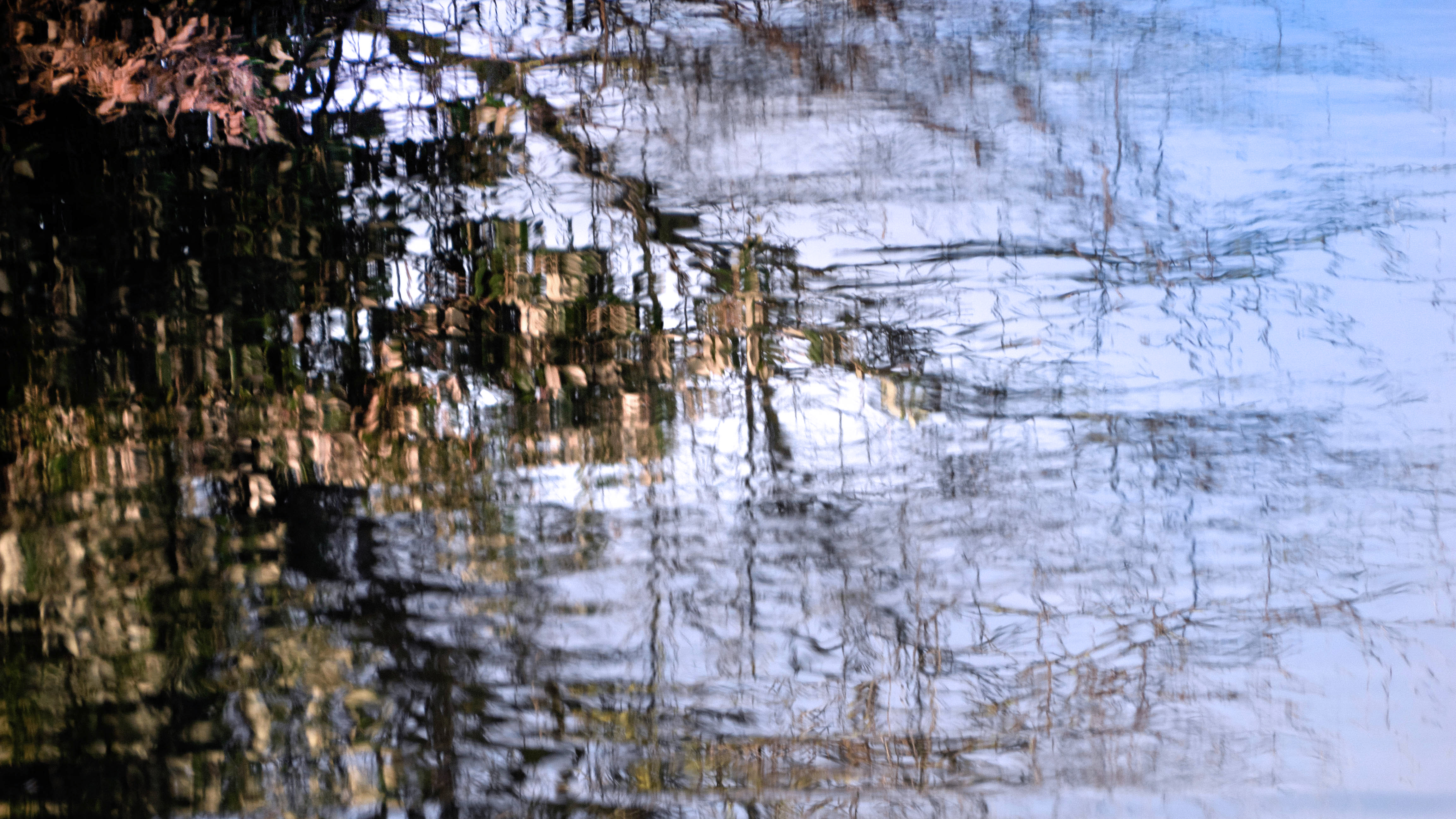 sous l'ombrage -acryl